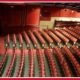 Mayflower Theatre Southampton Tickets Shows Seating Visitor Guide 